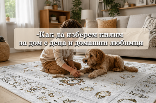 Как да изберем килим за дом с деца и домашни любимци